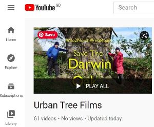 Urban Tree Fils PL Youtube 300x300