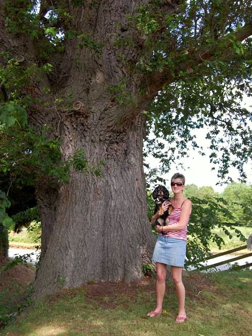 gtod21 3 Mell Hall Oak Cathy Pugh 500x752