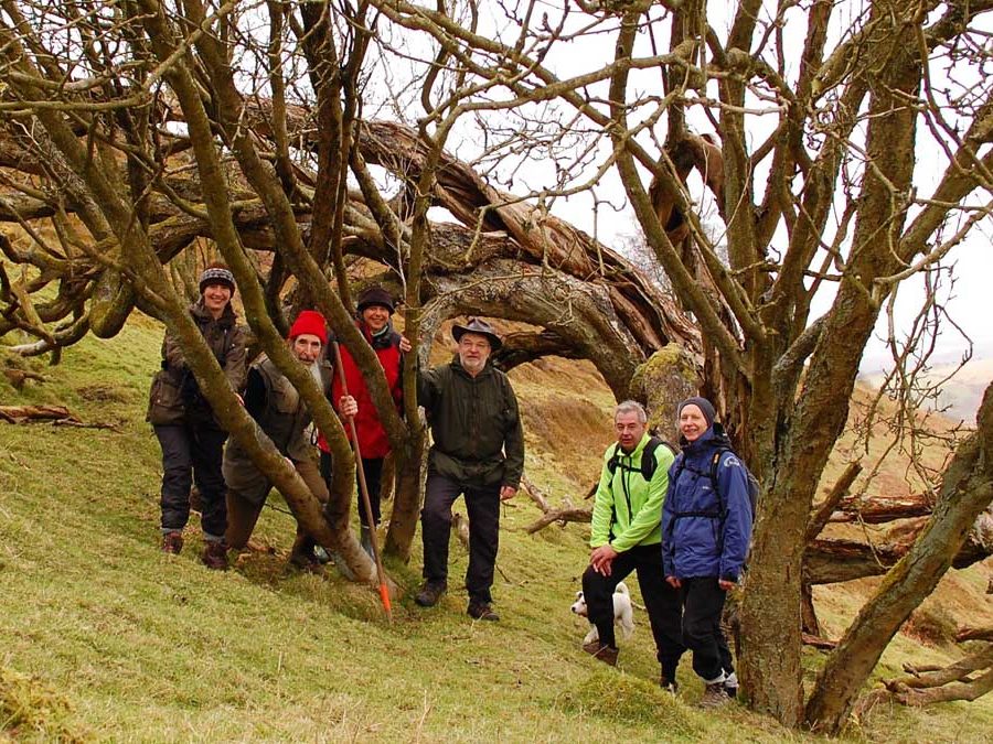 gtod21 Spider Rowan 1 JonnyH 900x675