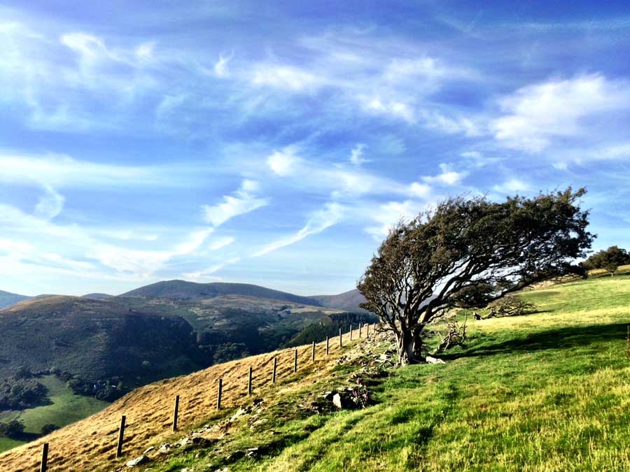 gtod21 kieran barry hawtn 900x675